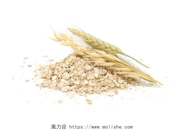 白底燕麦麦片小麦麦子麦穗庄稼农作物谷物低热量二十四节气24节气芒种